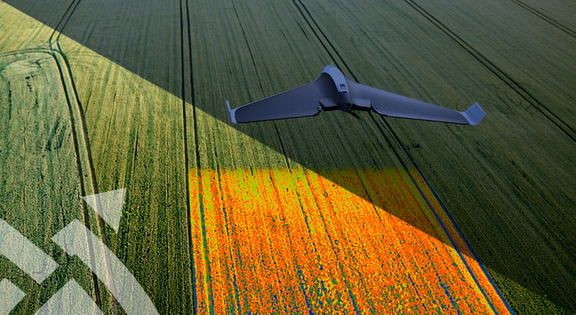 hibridum - Agricultura de precisión