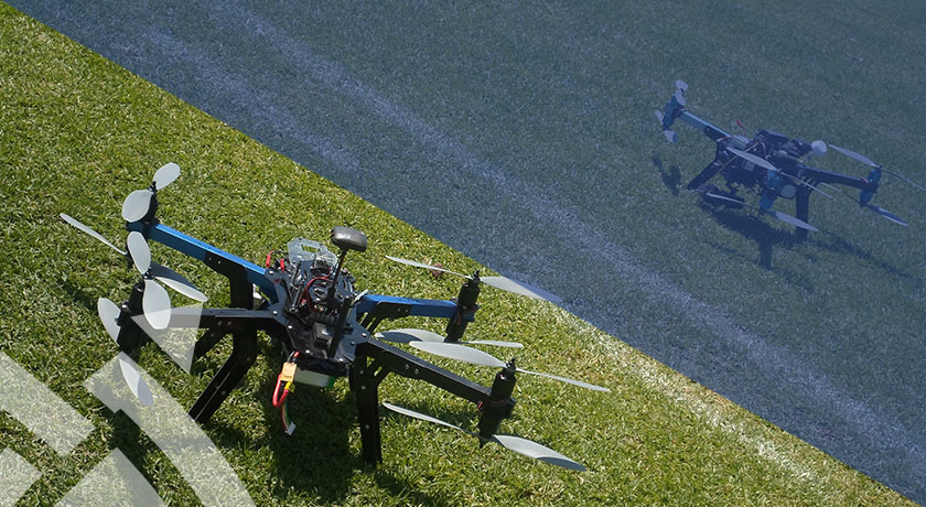 hibridum - Capacitación