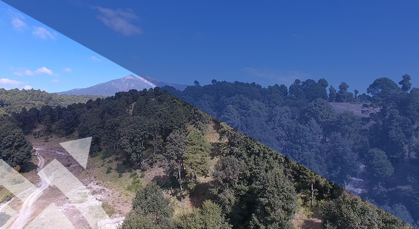 hibridum - Seguimiento de obra