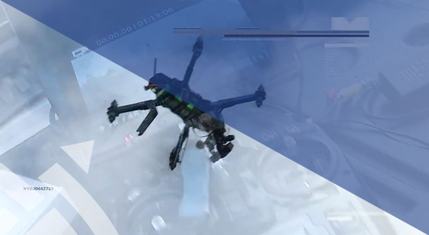 hibridum - Seguridad y vigilancia